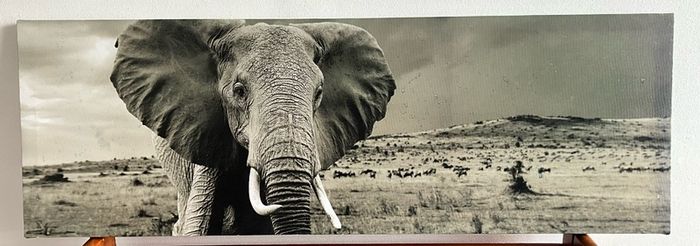 Large Black & White Wall Art Prints. Set of 3