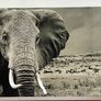 Large Black & White Wall Art Prints. Set of 3 Image 3