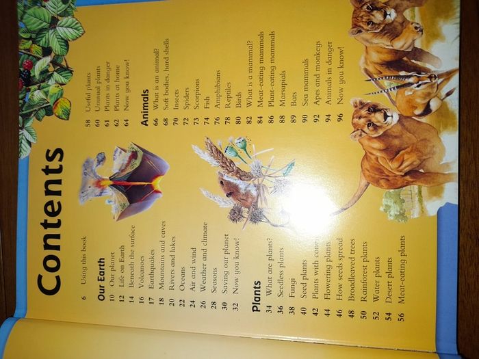 Children's Fact book