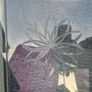 window Image 2