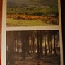 The Wicklow Way / A Natural History Field Guide/Ken Boyle & Orla Bourke/ 1990 Image 2