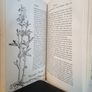 The Living Garden or The How & Why of Garden Life by E. J. Salisbury (HQ183) Image 4