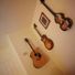 rickenbacker325
