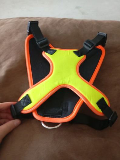 dog harness