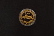 United States Air Force F-16 Fighting Falcon Coin/Medallion
