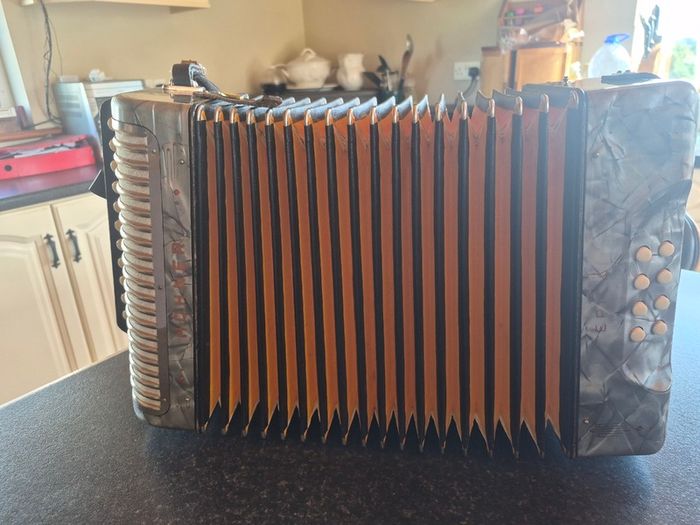 Hohner Black Dot