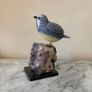 Hand-Carved Blue Tit on Raw Amethyst Cluster Base Image 2