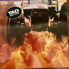 TAD - Salt Lick EP (First Press)