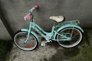 bikes
