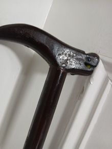 walking stick