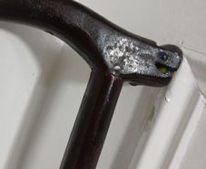 walking stick
