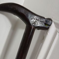 walking stick