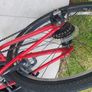 Juniors bike Image 6
