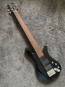 WARWICK Double Buck 5 String Rockbass