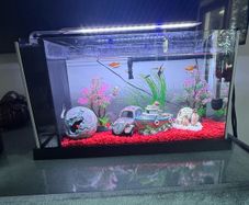 fish tank