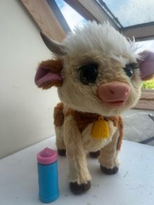 Maggie Cow pet