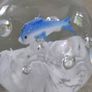 Vintage Art Glass Round Aquarium Paperweight with Bubbles and one Blue Dolphins Image 3