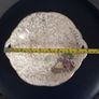 DISH - c.1940s - Lavender Lady Image 8