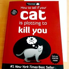 The Oatmeal: new cat cartoons