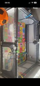 Play Pen
