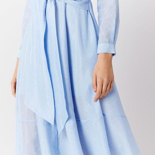COAST Torrington Shirt Dress