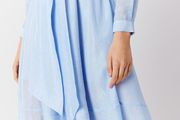 COAST Torrington Shirt Dress