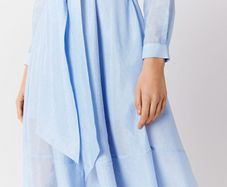 COAST Torrington Shirt Dress
