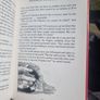 The Children of Lir  The Song of the Children of Lir (Hardcover) Image 6