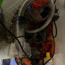 Fish Tanl Image 5