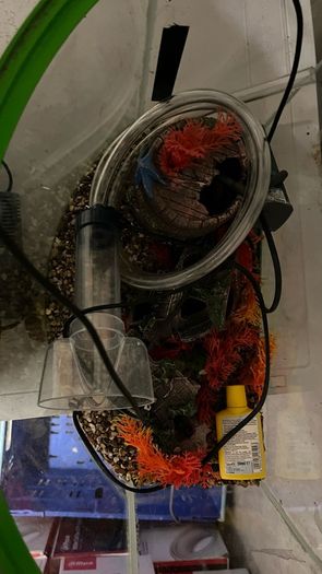 Fish Tanl