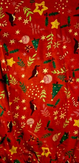 Christmas dress