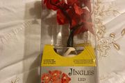 jingles red orchid in a vase
