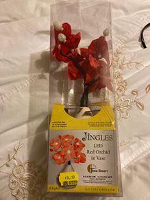 jingles red orchid in a vase