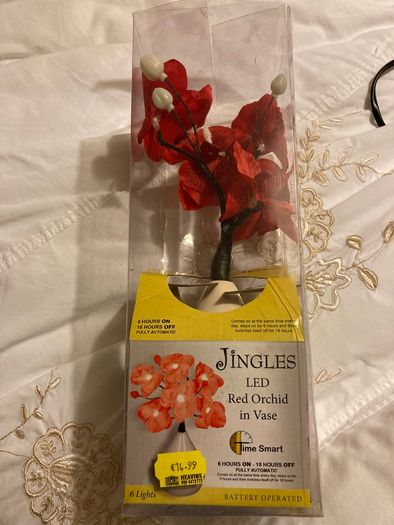 jingles red orchid in a vase