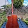 Tanglewood Sundance TW15ASMCE Acoustic Guitar Image 3