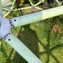 Climbing frame Image 2