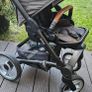 buggy Image 6