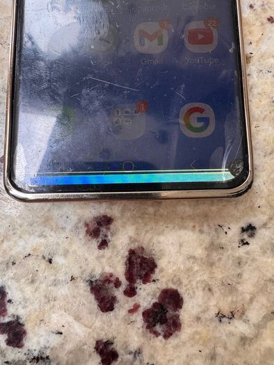 samsung Galaxy S21 Ultra 256GB