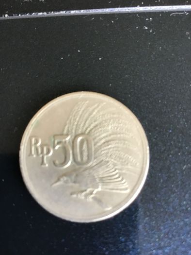 Indonesia coin 50 Rupiah