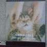 Cat themed flip book, Gift. Book.Mother's Day gift Image 7