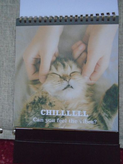 Cat themed flip book, Gift. Book.Mother's Day gift