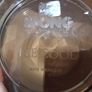 Midcentury Ice Bucket smoky look Image 3