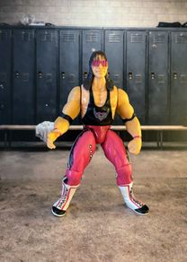 Jakks WWF WWE BCA Wrestling Figures ECW  individual prices
