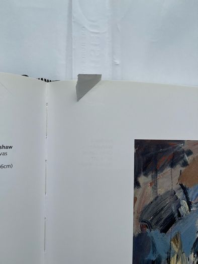One hundred years of Irish Art, Eamonn Mallie