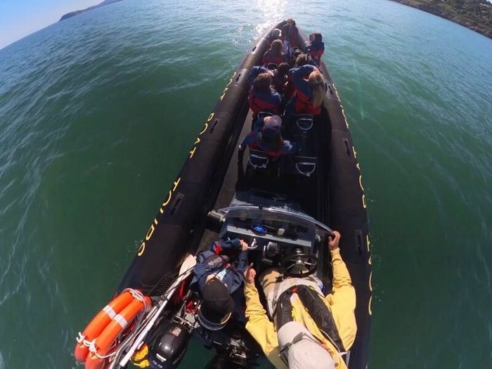 Ashes Scattering at Sea, Dublin Bay  Licensed Boat