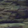 Aqua Nova Rock/Plants Double Sided Background 150x60cm Image 2