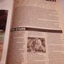 old 1984 Olympic special horse magazine Image 9