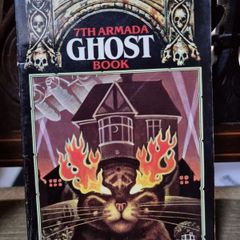 7th Armada Ghost Book