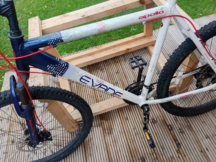 adults bike