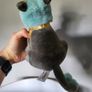 Warhammer Age of Sigmar Sacrosanct Gryph-hound Collectible Plush Image 3